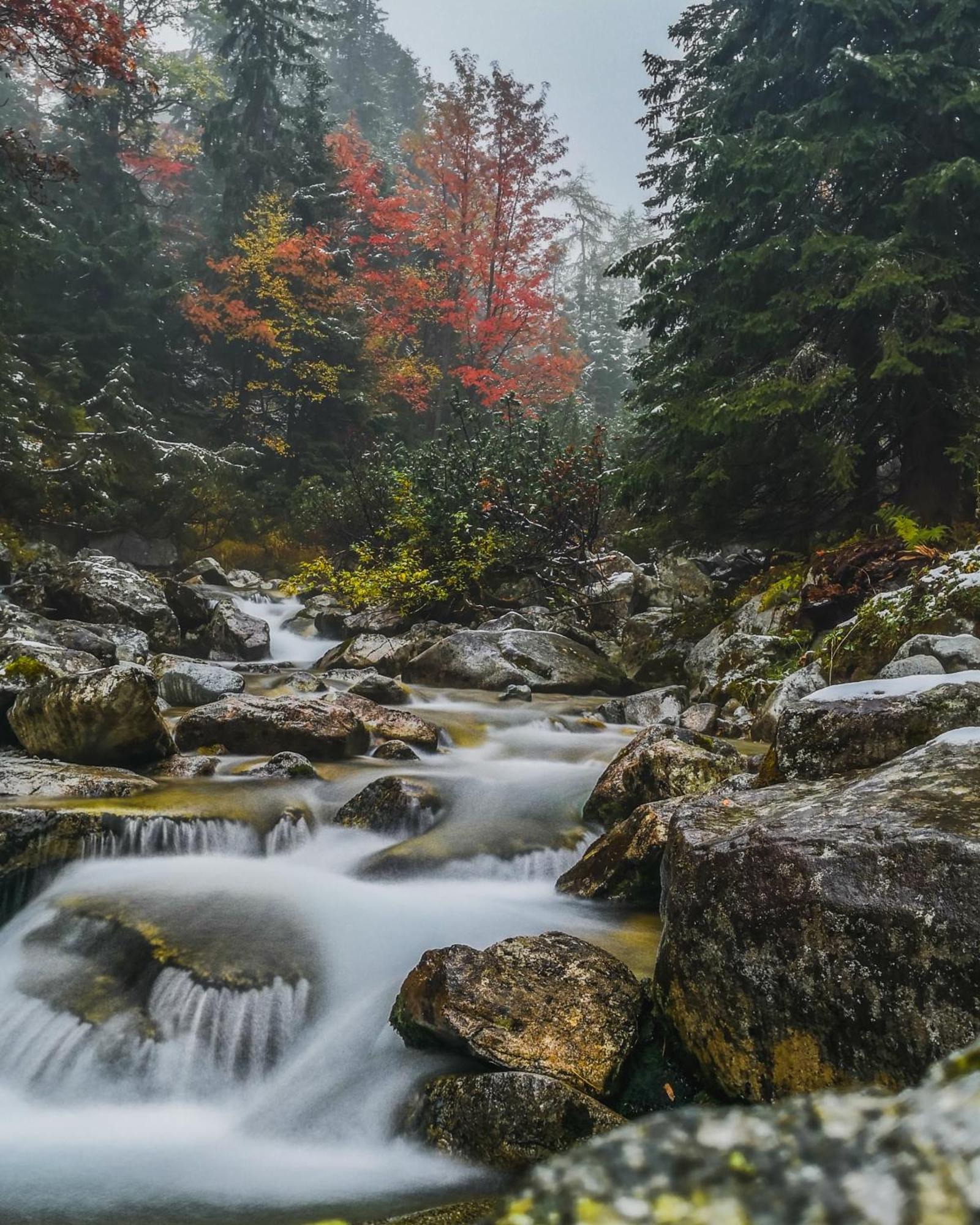 Apartmány Lesy a Lúky - V srdci Tatier Vysoké Tatry Exterior foto