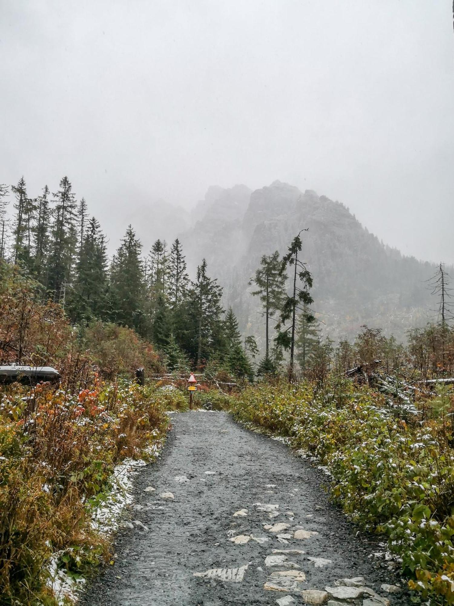 Apartmány Lesy a Lúky - V srdci Tatier Vysoké Tatry Exterior foto